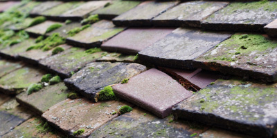 Swan Bottom roof repair costs